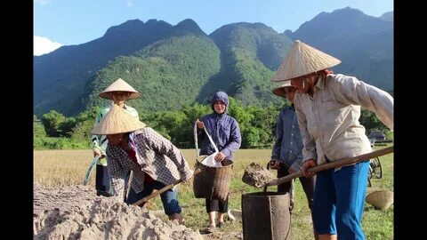 Xu hướng Mua váy hoa mà không biết 4: Hotspot Matrix tiết lộ bí quyết video viral